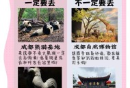 想知道成都休闲体验如何？老张的经历或许能给你启发