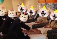 知晓友人成都桑拿真实感受，从职场压力到身心松弛全历程