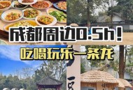 从游客到懂生活，小陈在成都的深度娱乐体验究竟有何特别？