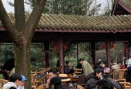 聊聊老朋友在成都的生活，真实感受究竟如何？