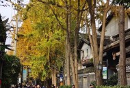 成都娱乐新玩法？程序员小张带你探秘宽窄巷子的别样周末