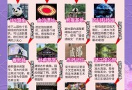 探秘成都娱乐体验：为何让人留恋忘返？如何打破传统模式？