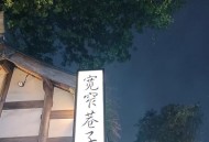 成都的狡黠：嘴上谈文化，夜晚却奔向热烈小巷？