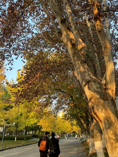 成都推荐酒店_成都推荐游玩地点_成都spa推荐