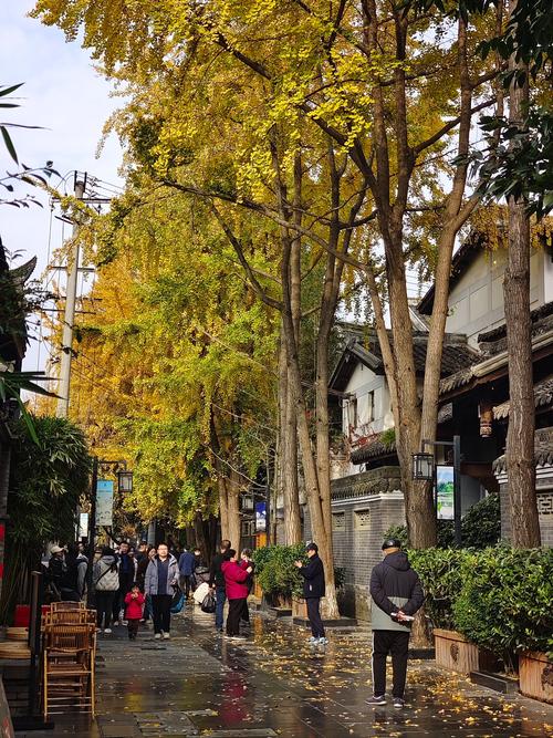 成都娱乐哪里好_成都娱乐总汇_成都好玩的娱乐项目