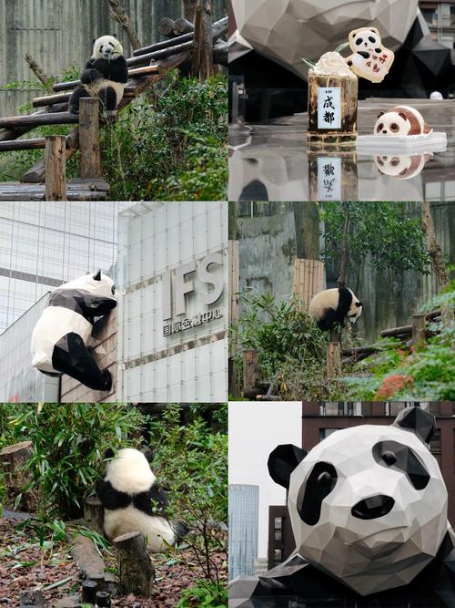 成都休闲哪里好_成都休闲去处_休闲的成都