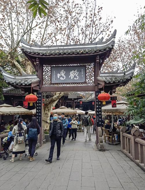 想在成都地道游玩？阿杰的经历能给你这些启发